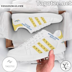 National Career Institute Stan Smith Shoes