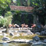 Jatim Park 2 / Batu Secret Zoo