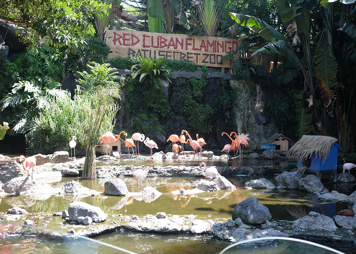 Jatim Park 2 / Batu Secret Zoo