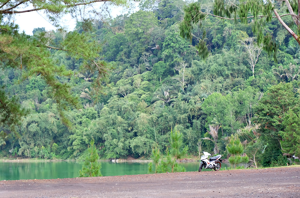 Tomohon