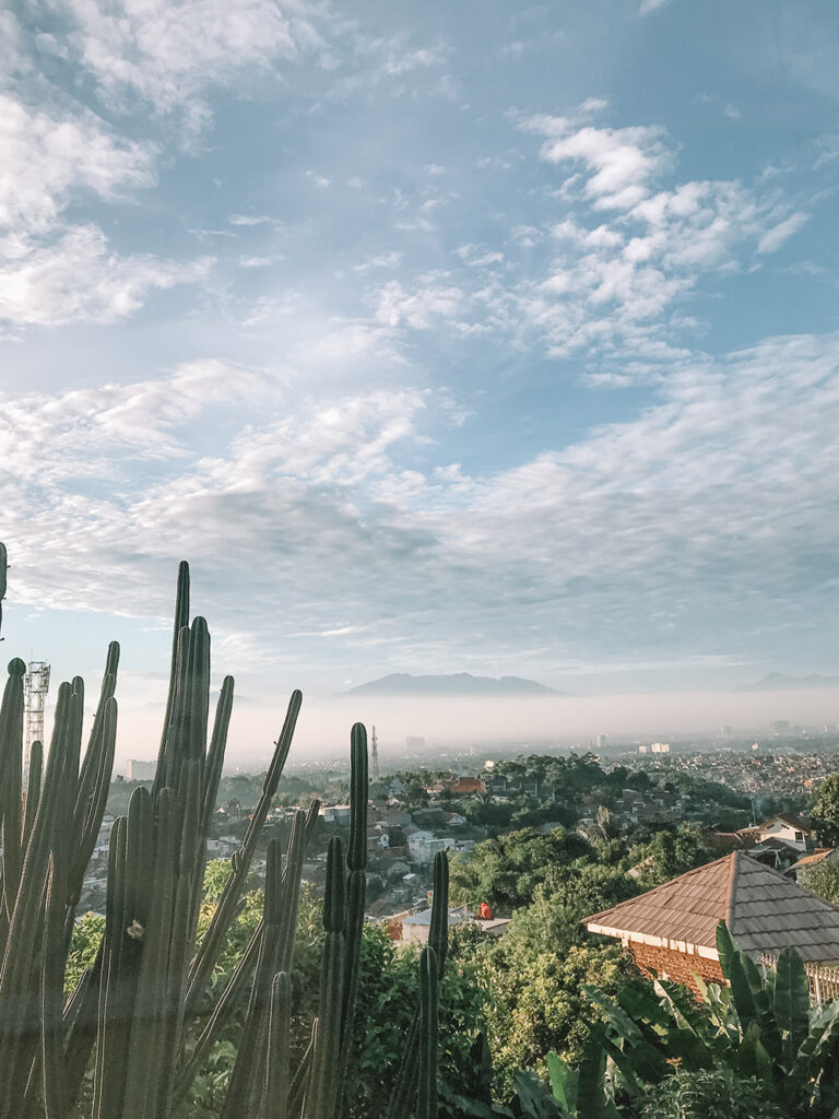 Processed with VSCO with q5 preset