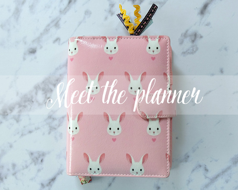 My planner setup 2015